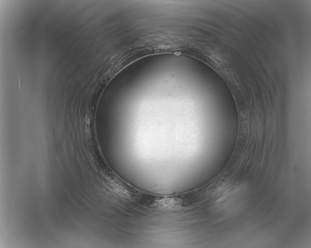 X0000056010269200509092120