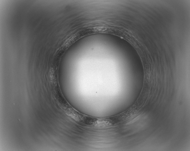 X0000056010270200509092120