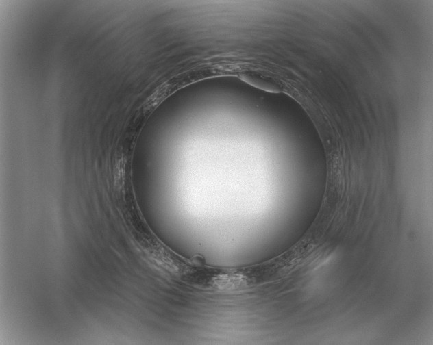 X0000056010271200509092120