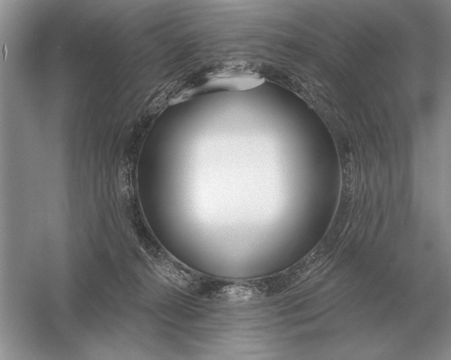 X0000056010272200509092120