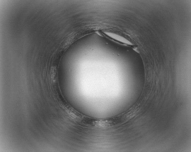 X0000056010273200509092120