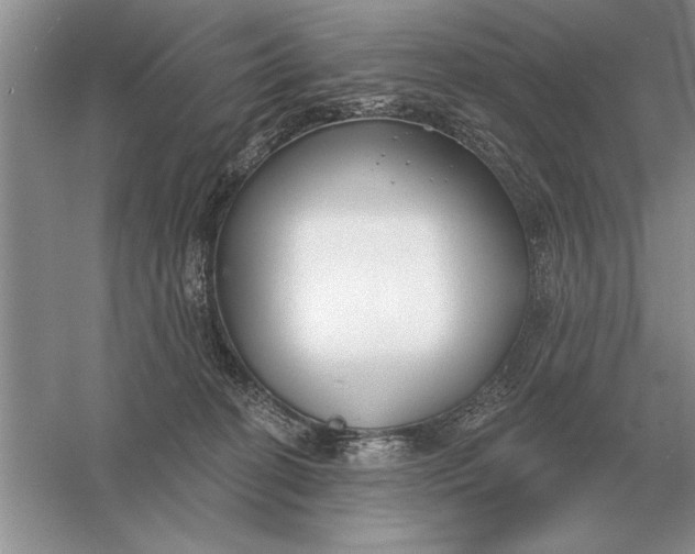 X0000056010274200509092120