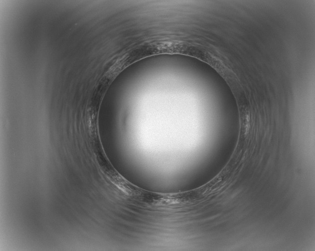 X0000056010276200509092120