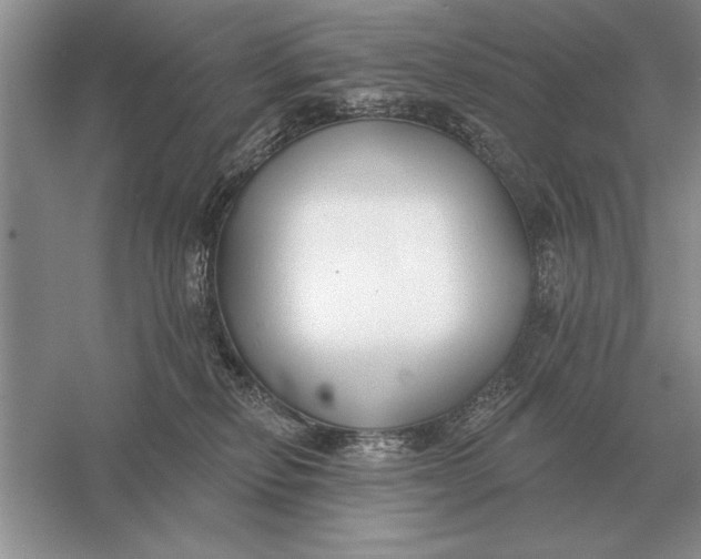 X0000056010278200509092120