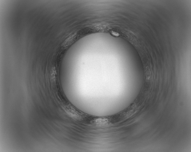 X0000056010279200509092120