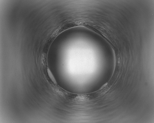 X0000056010280200509092120