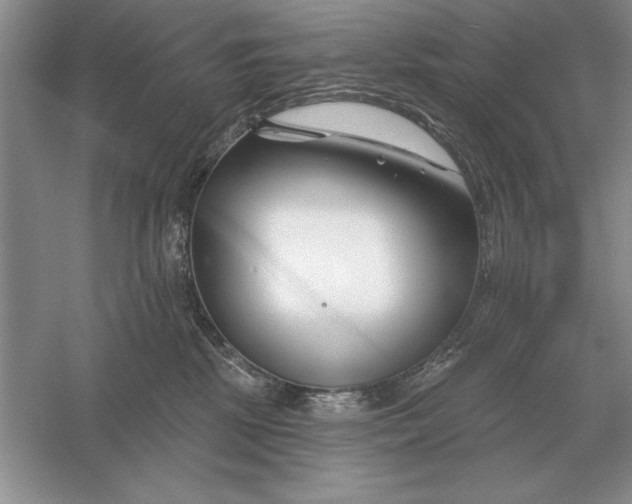 X0000056010281200509092120