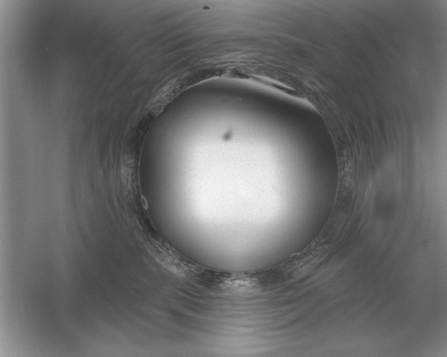 X0000056010283200509092120