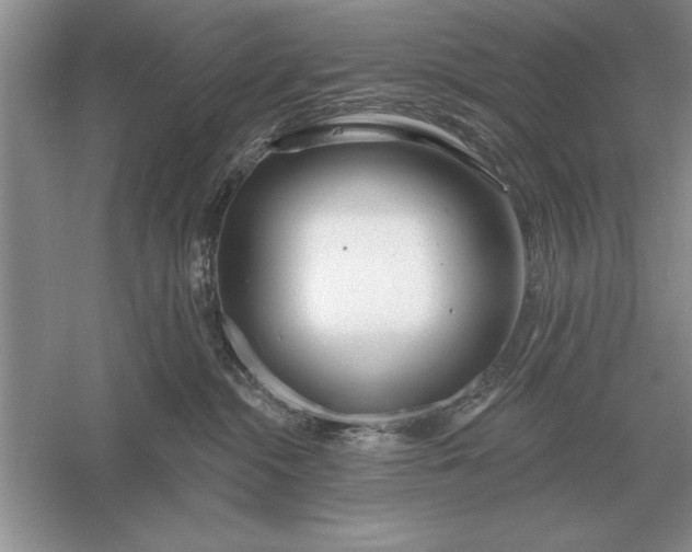 X0000056010284200509092120