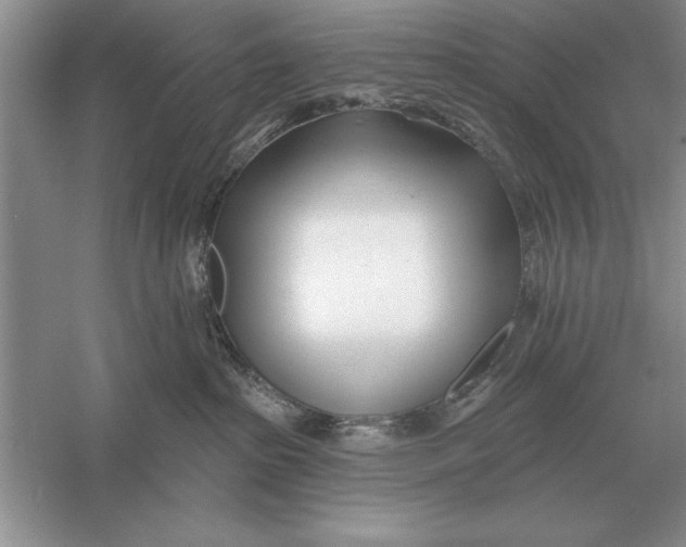 X0000056010285200509092120