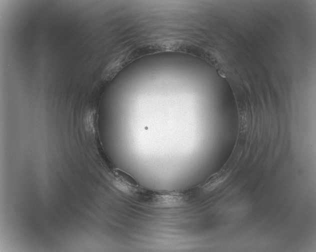 X0000056010286200509092120