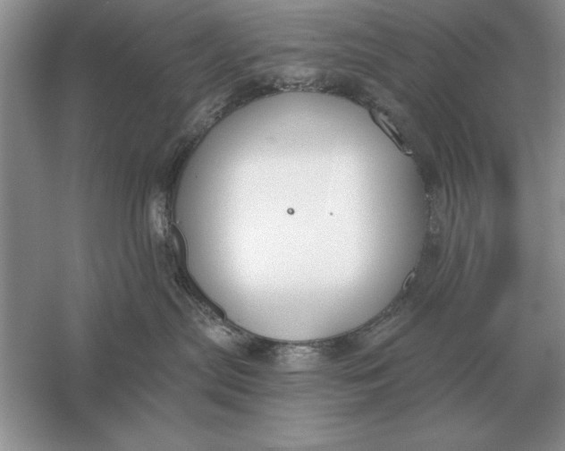 X0000056010287200509092120