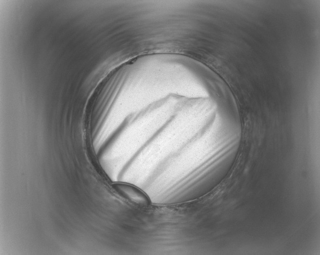 X0000056010290200509092119