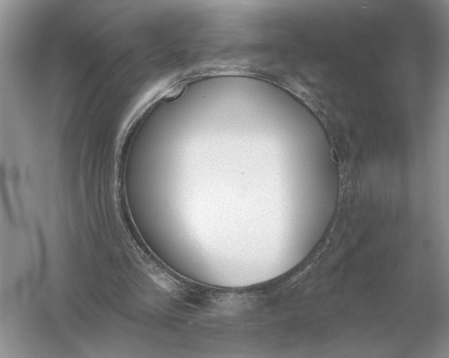 X0000056010293200509092119