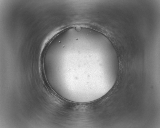 X0000056010294200509092119