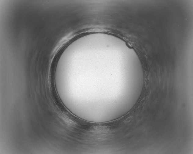 X0000056010296200509092119