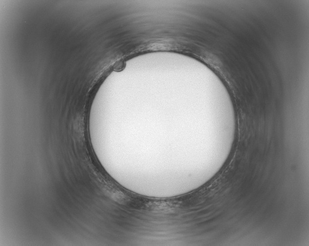 X0000056010297200509092119