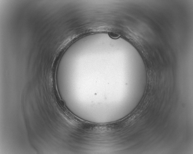 X0000056010298200509092119