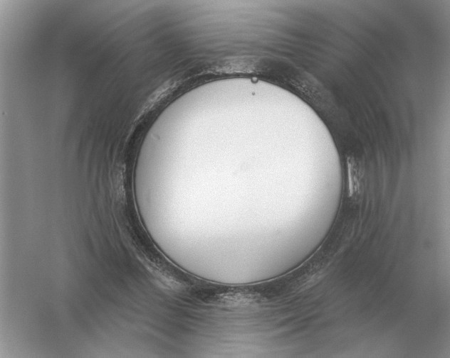 X0000056010300200509092119