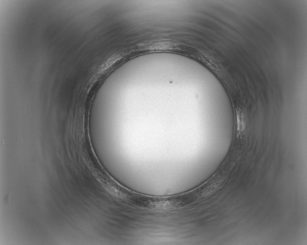 X0000056010301200509092119