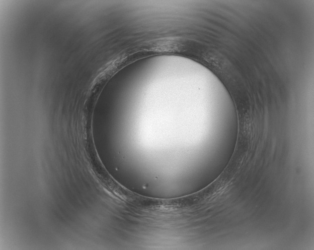 X0000056010303200509092119