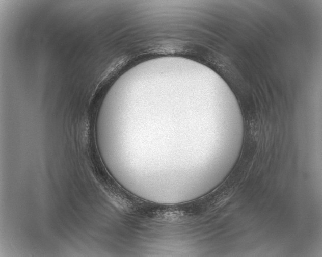 X0000056010304200509092119