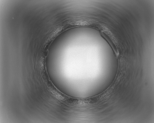 X0000056010305200509092119