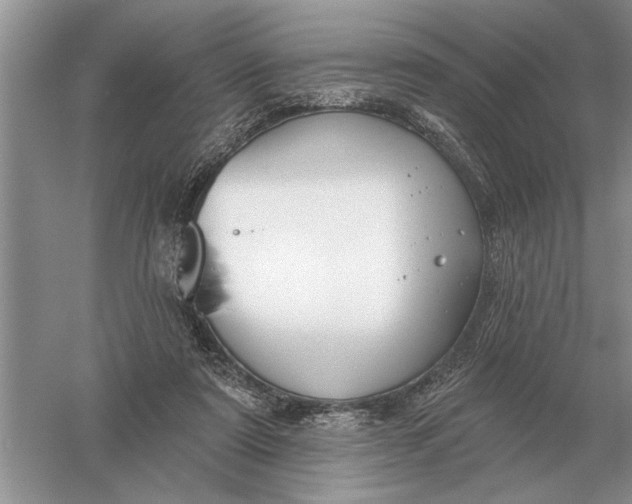 X0000056010307200509092119