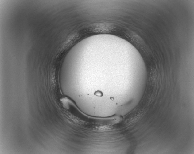 X0000056010312200509092119