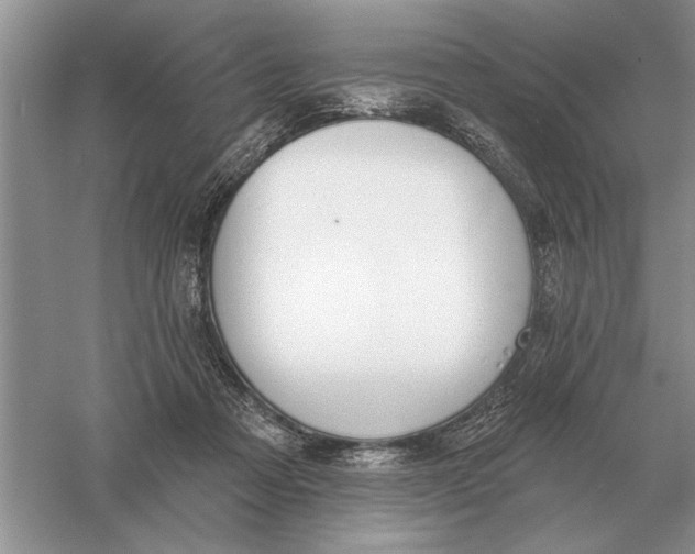 X0000056010313200509092119