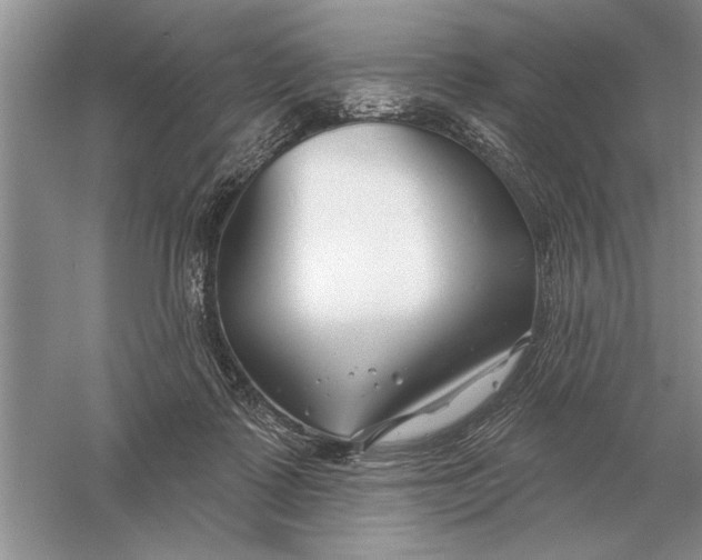 X0000056010315200509092119