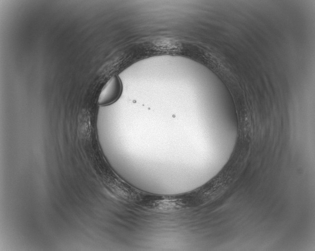 X0000056010320200509092119