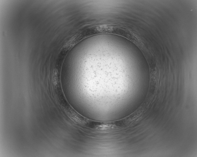 X0000056010323200509092119