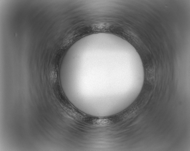 X0000056010324200509092119