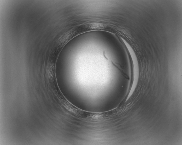 X0000056010325200509092119