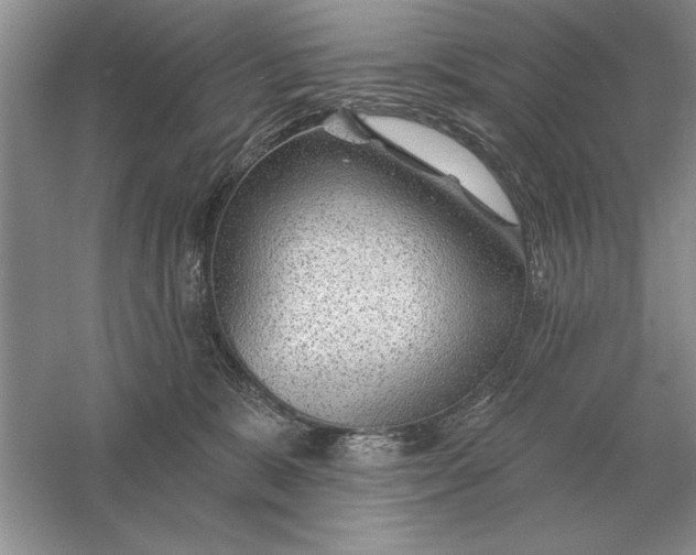 X0000056010327200509092119