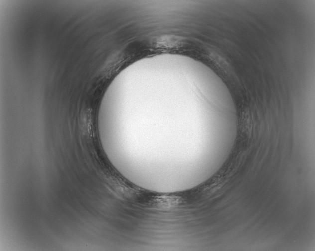 X0000056010328200509092119