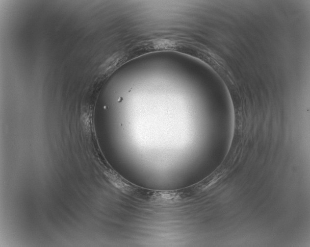 X0000056010329200509092118