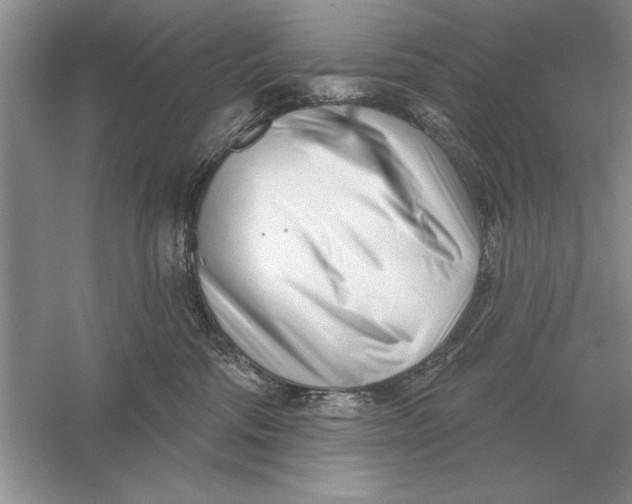 X0000056010330200509092118