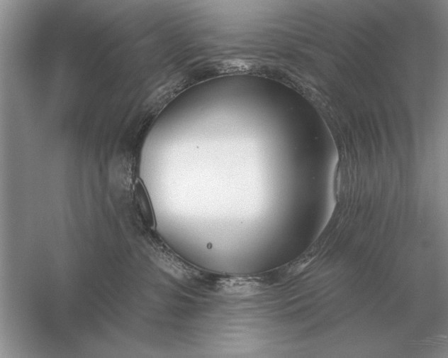 X0000056010331200509092118