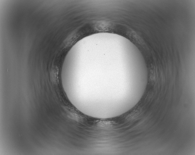 X0000056010332200509092118