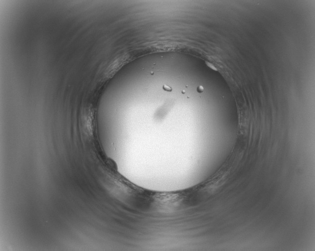 X0000056010334200509092118