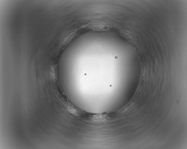 X0000056010335200509092118