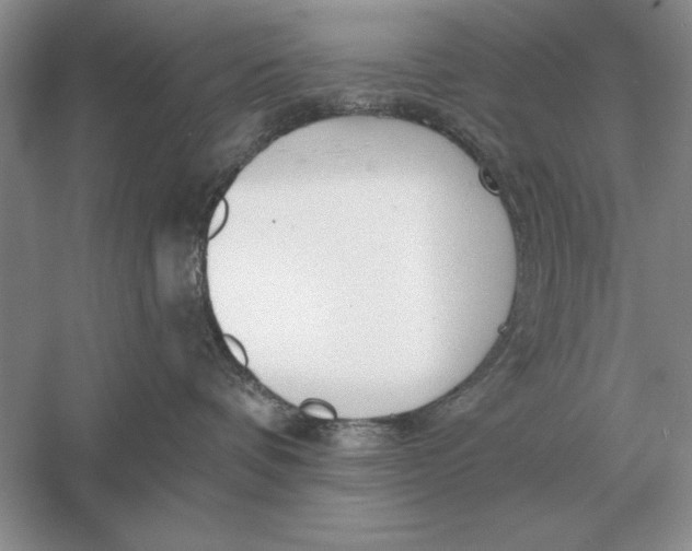 X0000056010336200509092118