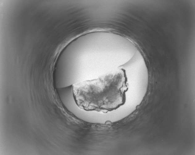 X0000056010337200509092118