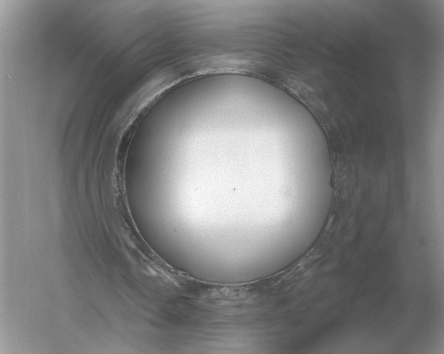 X0000056010338200509092118