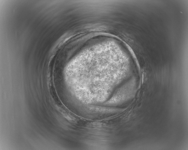 X0000056010339200509092118