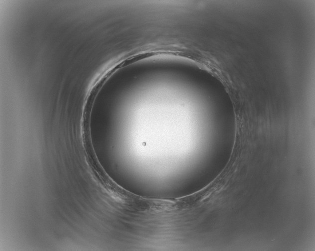 X0000056010340200509092118