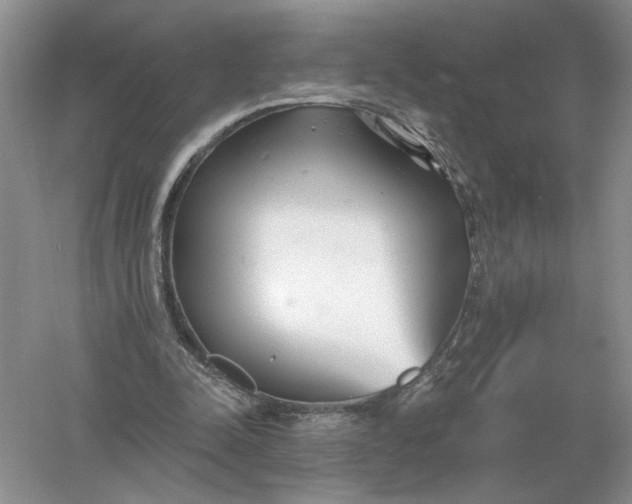 X0000056010342200509092118