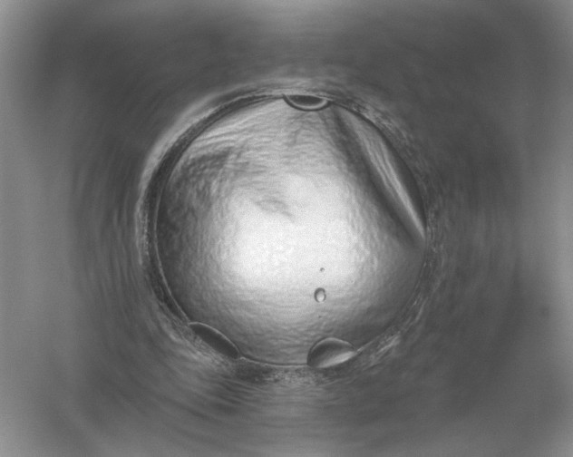 X0000056010343200509092118